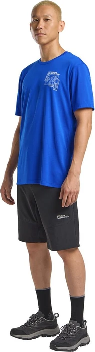 Jack Wolfskin Hiking Alpine Hose kurz phantom (Herren)