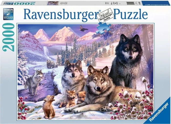 Ravensburger Wölfe im Schnee