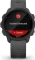 Garmin Forerunner 245 grau Vorschaubild