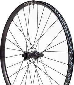 DT Swiss E 1900 Spline 28H 22mm/30mm 29" 12x148 TA Shimano HG Centerlock Disc Hinterlaufrad