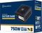 SilverStone Decathlon Gold Series DA750R-GMA (12V-2x6) 750W, ATX 3.0 Vorschaubild