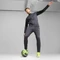 Puma individualLIGA Trainingsanzug (Herren) Vorschaubild