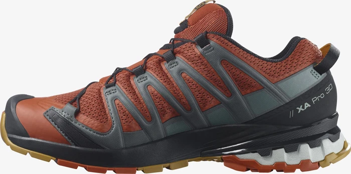Salomon XA Pro 3D V8 rooibos tea/black/cumin (Herren)