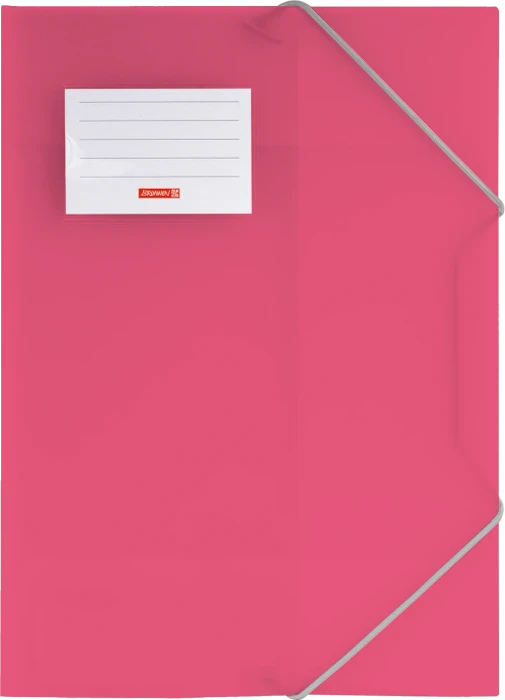 Brunnen FACT!pp Sammelmappe, A4, tulip/transparent