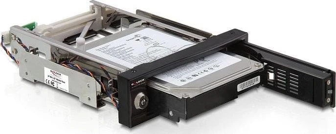DeLOCK 5.25" Wechselrahmen auf 3.5" SATA