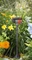 Gardena Micro-Drip-System Verlängerungsrohr für Viereckregner, 2 Stück Vorschaubild