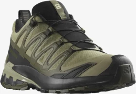 Salomon XA Pro 3D V9 GTX dried herb/black/olive night (Herren)