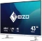 Eizo FlexScan EV4340X, weiß, 42.5" Vorschaubild