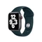 Apple Sportarmband Regular für Apple Watch 40mm federgrün Vorschaubild
