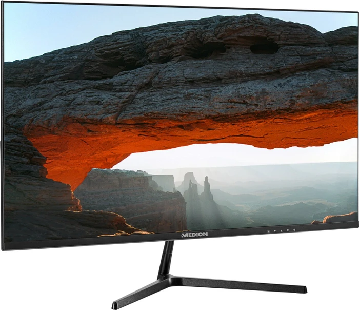 Medion P52218, 22"