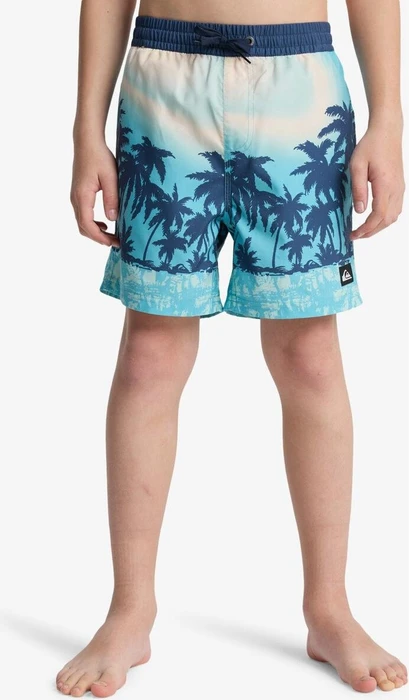 Quiksilver Everyday Printed Volley 14" Badeshorts aqua/thermotropics (Junior)