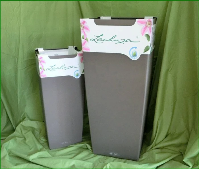 Lechuza Cubico Color 40 muskat