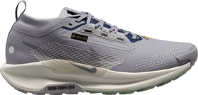 Nike Pegasus Trail 5 Gore-Tex cement grey/jade horizon/burgundy crush/midnight navy (Herren)