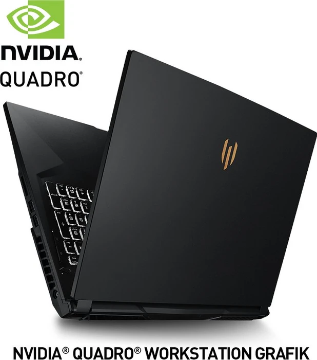 MSI WE75 9TJ-003 Mobile Workstation WE75 9TJ-003, Core i7-9750H, 32GB RAM, 512GB SSD, 1TB HDD, Quadro T2000, DE