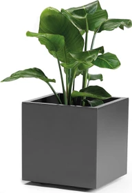 euro3plast Greener Kebe Pflanzkasten 40x40cm anthrazit