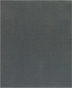 Bosch Professional C355 Best for Metal Schleifblatt K400, 230x280mm, 1 Stück