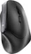 Cherry MW 4500 Wireless Ergonomic Mouse, USB Vorschaubild
