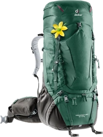 Deuter Aircontact Pro 55+15 SL seagreen/coffee (Damen)