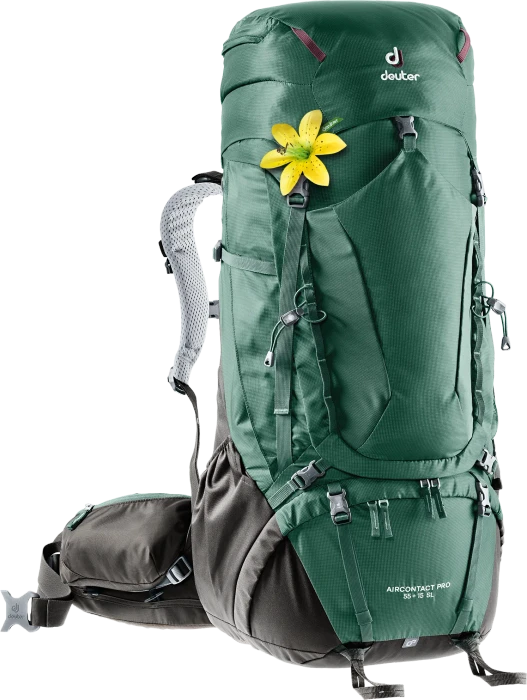 Deuter Aircontact Pro 55+15 SL seagreen/coffee (Damen)