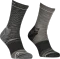 Ortovox Alpine Mid Socken (Herren) Vorschaubild