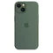 Apple Silikon Case mit MagSafe für iPhone 13 Eukalyptus Vorschaubild