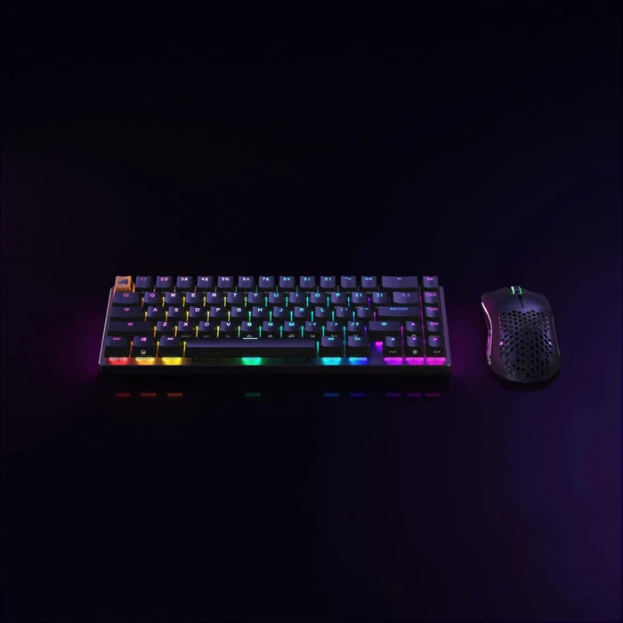 Glorious GMMK 2 Compact, 65%, schwarz, LEDs RGB, Glorious Fox Linear, USB, FR