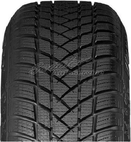 GT Radial Winterpro 2 Evo 205/60 R16 96H XL