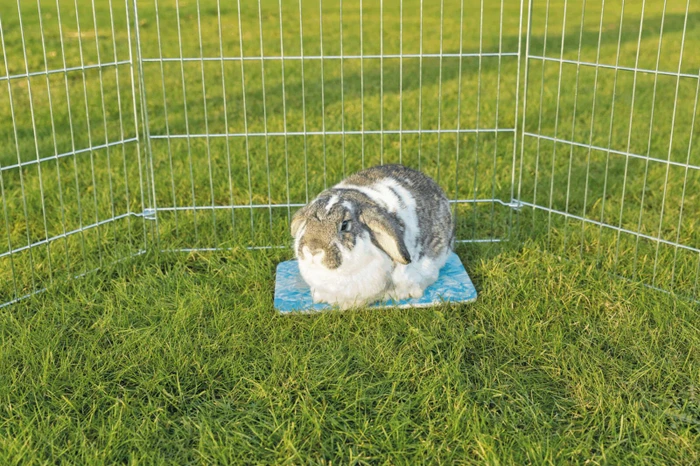 Trixie Kühlplatte für Kleintiere, L, silber