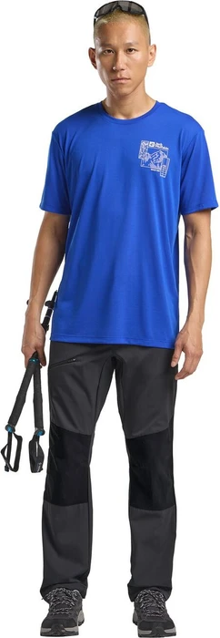 Jack Wolfskin Hiking Alpine Hose lang phantom (Herren)