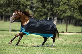 Horseware Amigo Mio, Weidendecke, türkis/schwarz