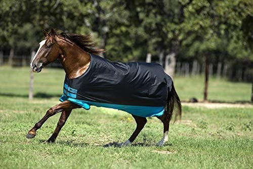 Horseware Amigo Mio, Weidendecke, türkis/schwarz