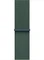 Apple Sport Loop für Apple Watch 42mm seegrün Vorschaubild