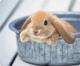 Speedlink SILK Mousepad Rabbit