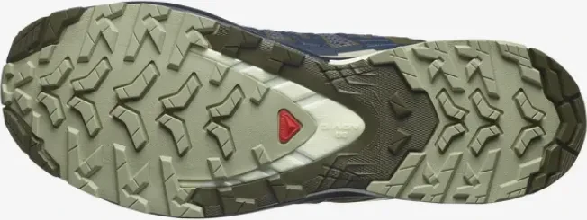 Salomon XA Pro 3D V9 india ink/olive night/aloe wash (Herren)