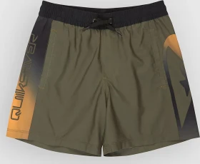 Quiksilver Everyday Holmes Volley 16" Badeshorts grape leaf (Junior)