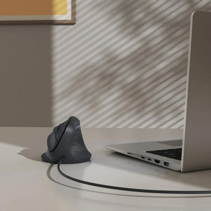 Hama ECM-500R Vertical Maus schwarz, USB