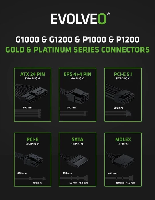 Evolveo Platinum Series P1000 schwarz 1000W, ATX 3.1