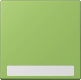 Jung Wippe 1-fach, vert 31