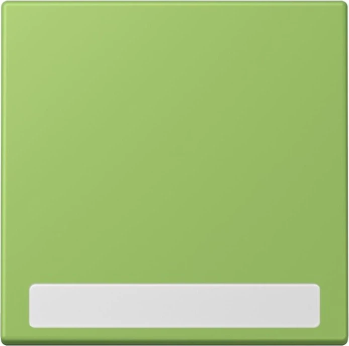 Jung Wippe 1-fach, vert 31
