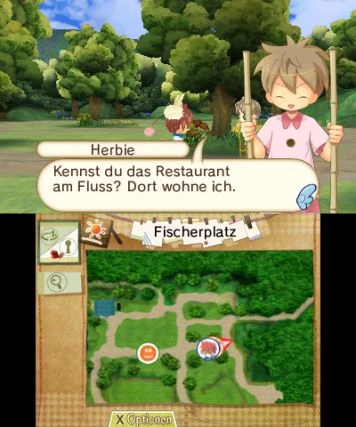 Hometown Story (3DS)