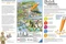 Ravensburger tiptoi Puzzle: Puzzeln, Entdecken, Erleben: Im Zoo Vorschaubild