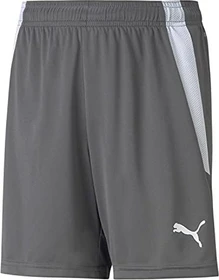 Puma TeamLIGA Shorts Trainingshose kurz smoked pearl/puma white (Junior)