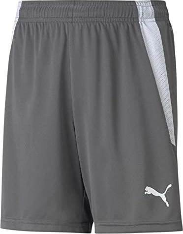 Puma TeamLIGA Shorts Trainingshose kurz smoked pearl/puma white (Junior)