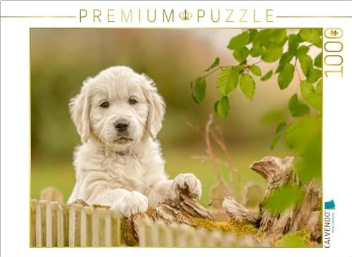 Calvendo Ein Motiv aus dem Kalender Golden Retriever... Herzenshunde