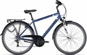 Pegasus Piazza 21 steel blue matt Modell 2022 (Herren)