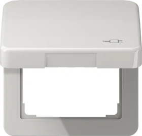 Jung Serie CD Klappdeckel Thermoplast mit Symbol "Stecker", lichtgrau