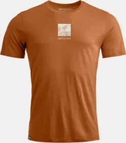 Ortovox 120 Cool Tec Abstract Funktionsshirt kurzarm bristle brown (Herren)