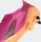 adidas X Ghosted.1 SG shock pink/core black/screaming orange Vorschaubild