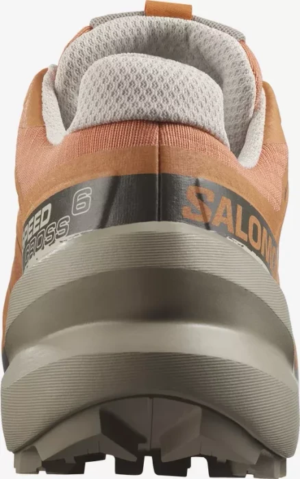 Salomon Speedcross 6 Gore-Tex coral gold/vintage khaki/rainy day (Damen)