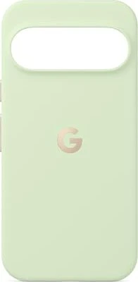 Google Pixelsnap Case für Pixel 10/10 Pro